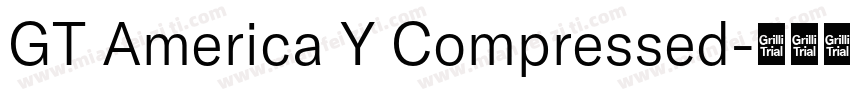 GT America Y Compressed字体转换